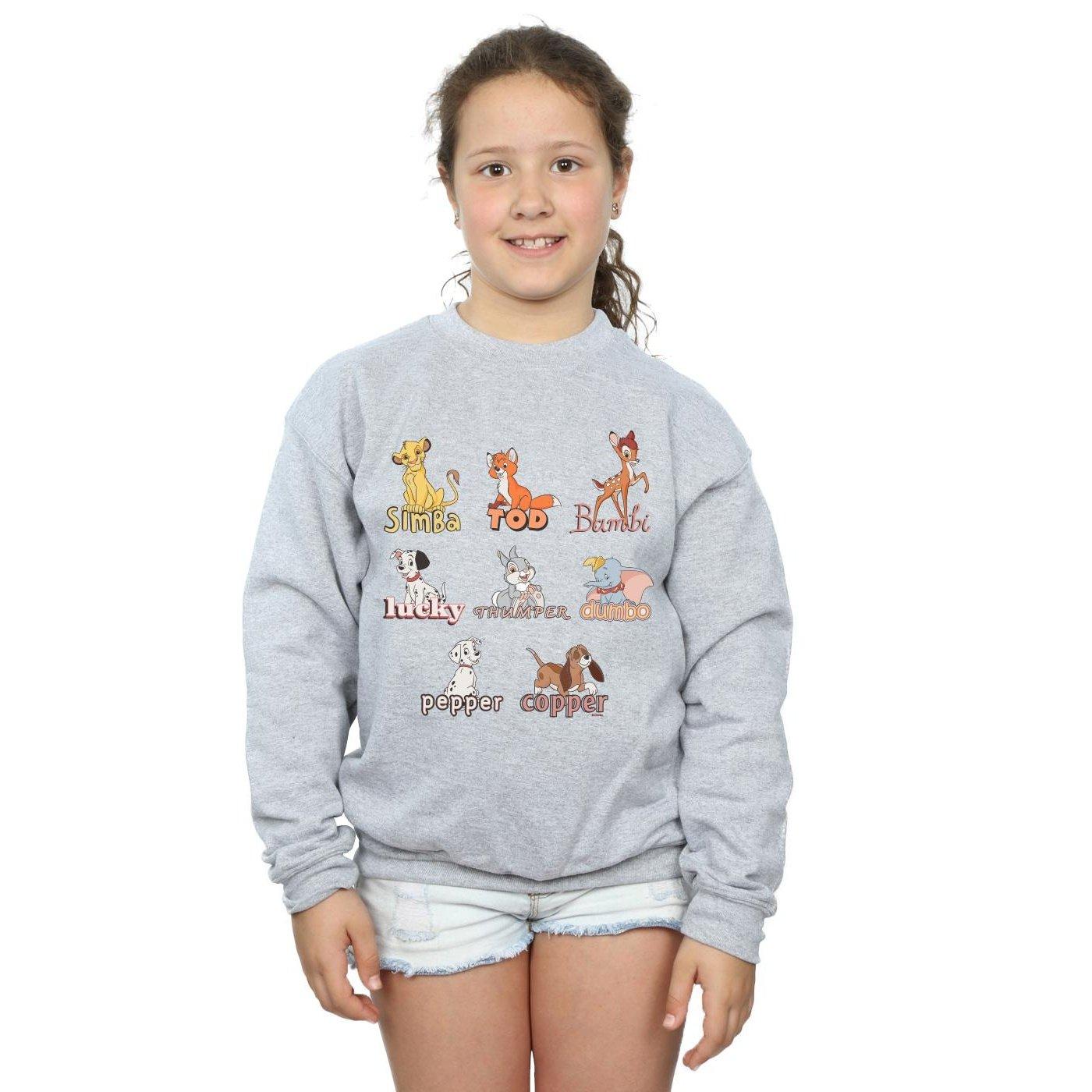 Disney Little Friends Sweatshirt