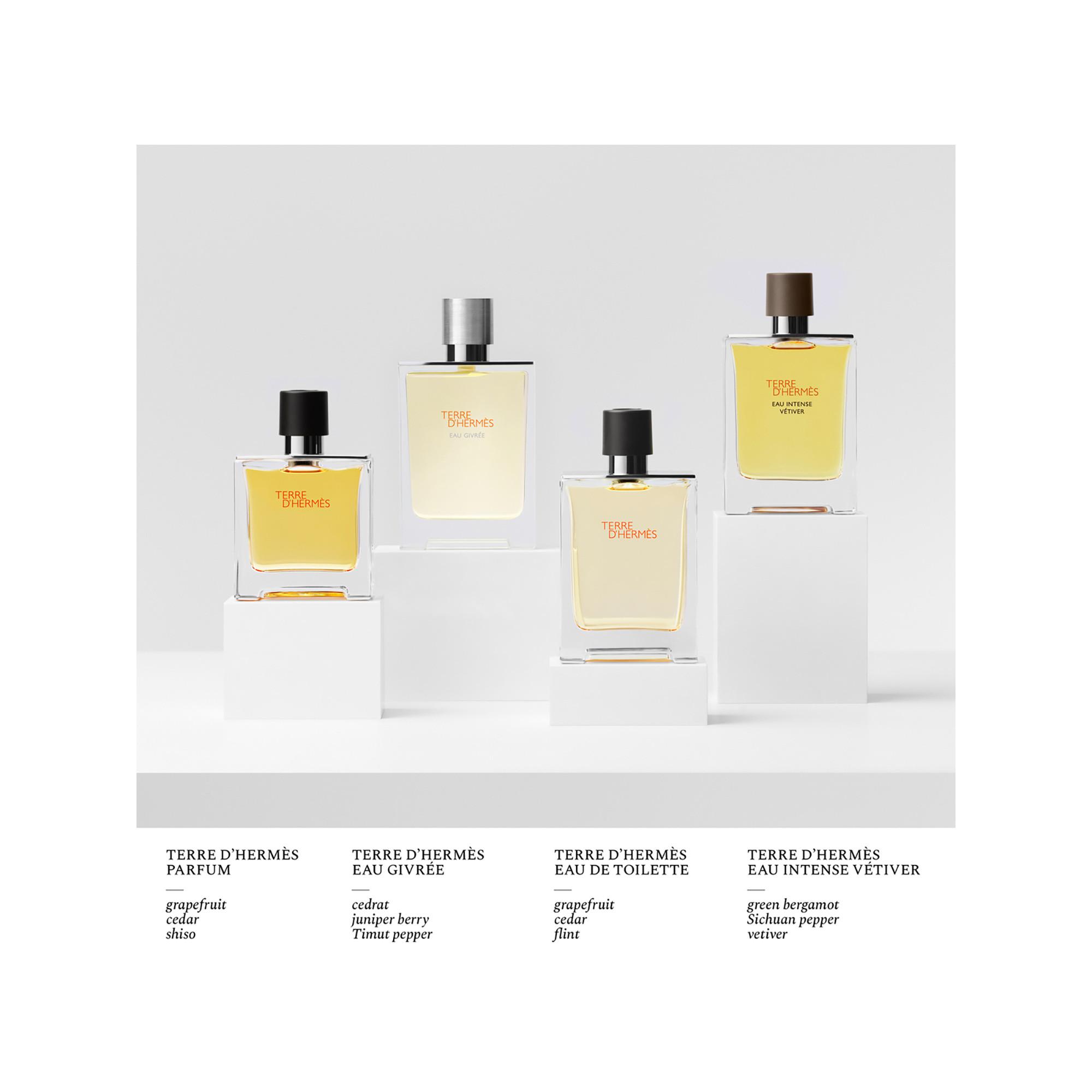 HERMÈS Terre d'Hermès, Eau de Toilette