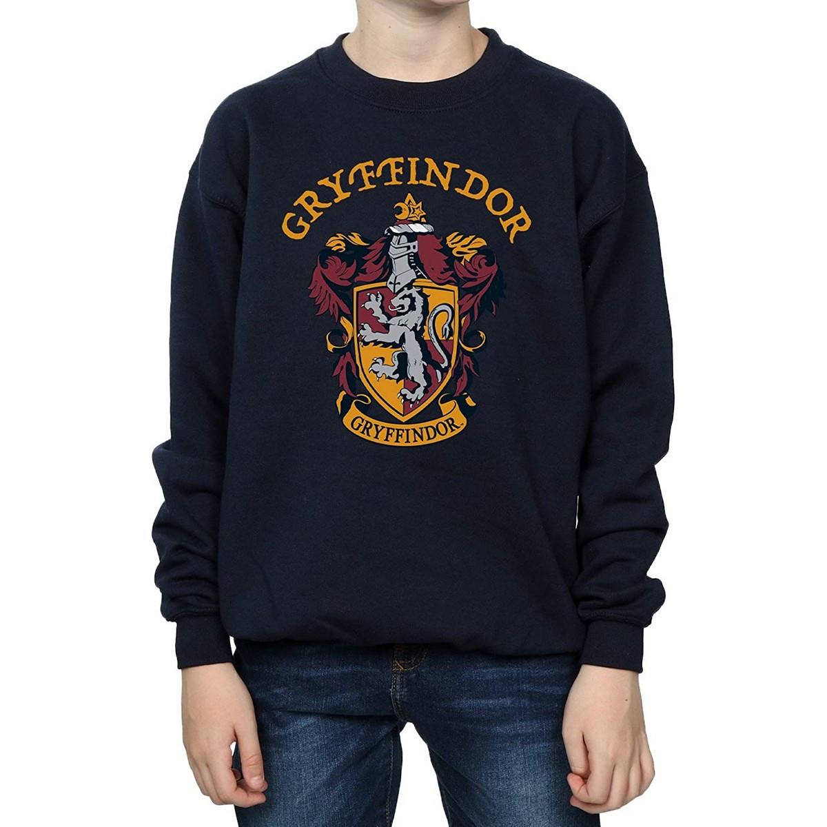 Harry Potter Sweatshirt