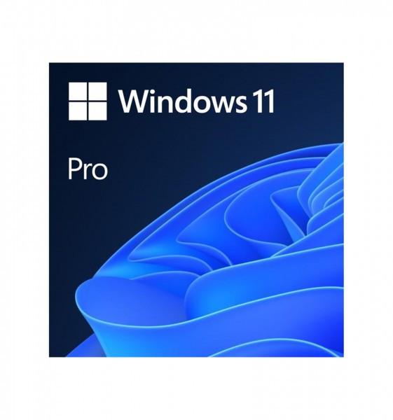 Microsoft Windows 11 Pro ESD