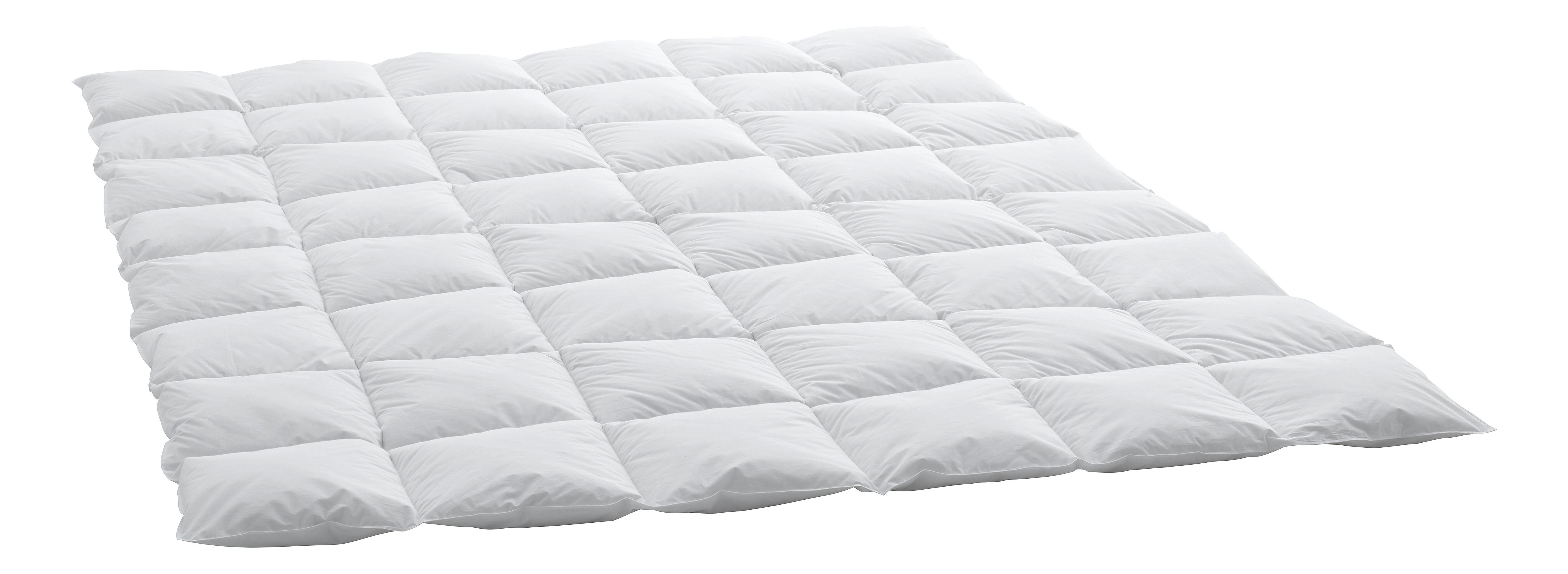 Swiss Dream Duvet Cassette Medium Basic 90