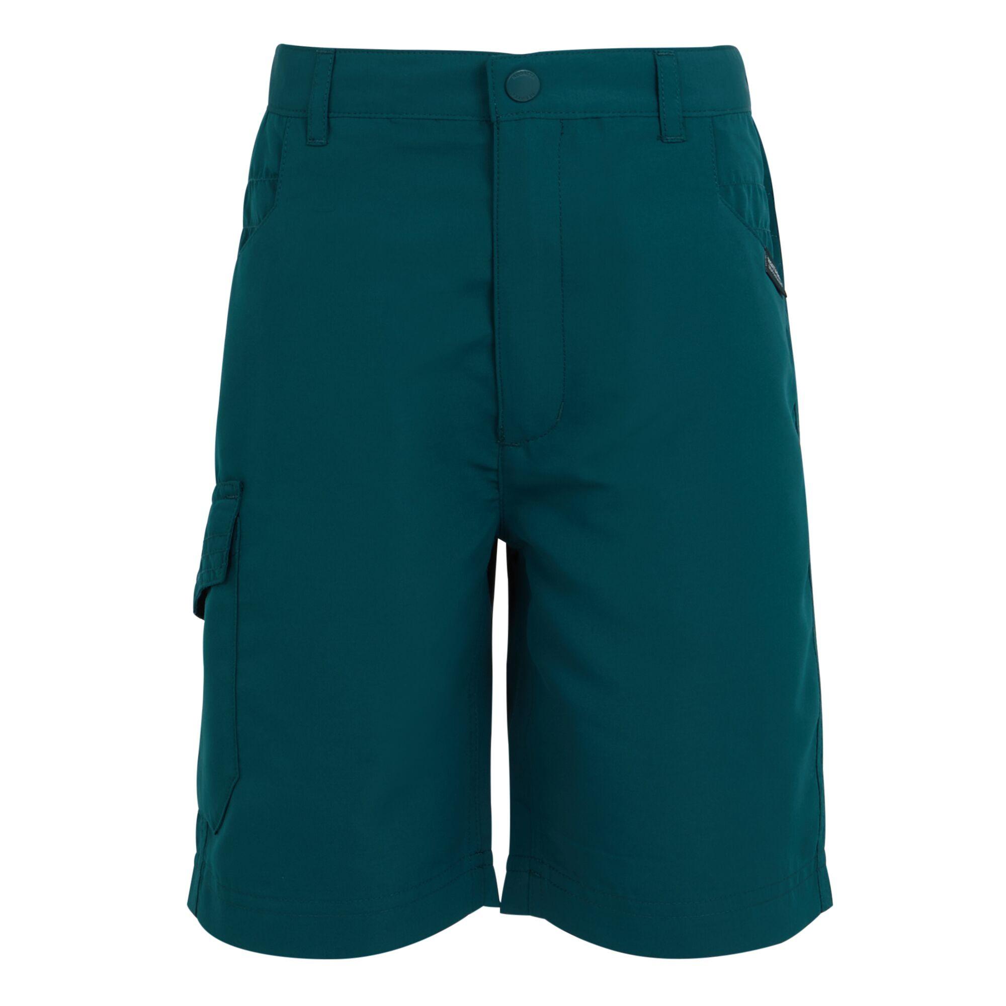 Regatta Sorcer II Shorts