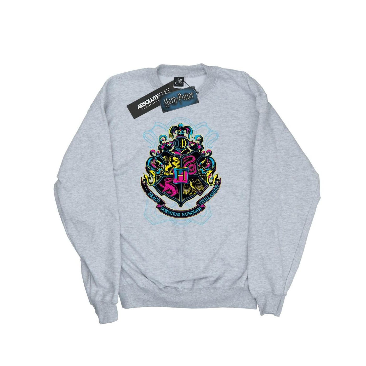 Harry Potter Hogwarts Sweatshirt