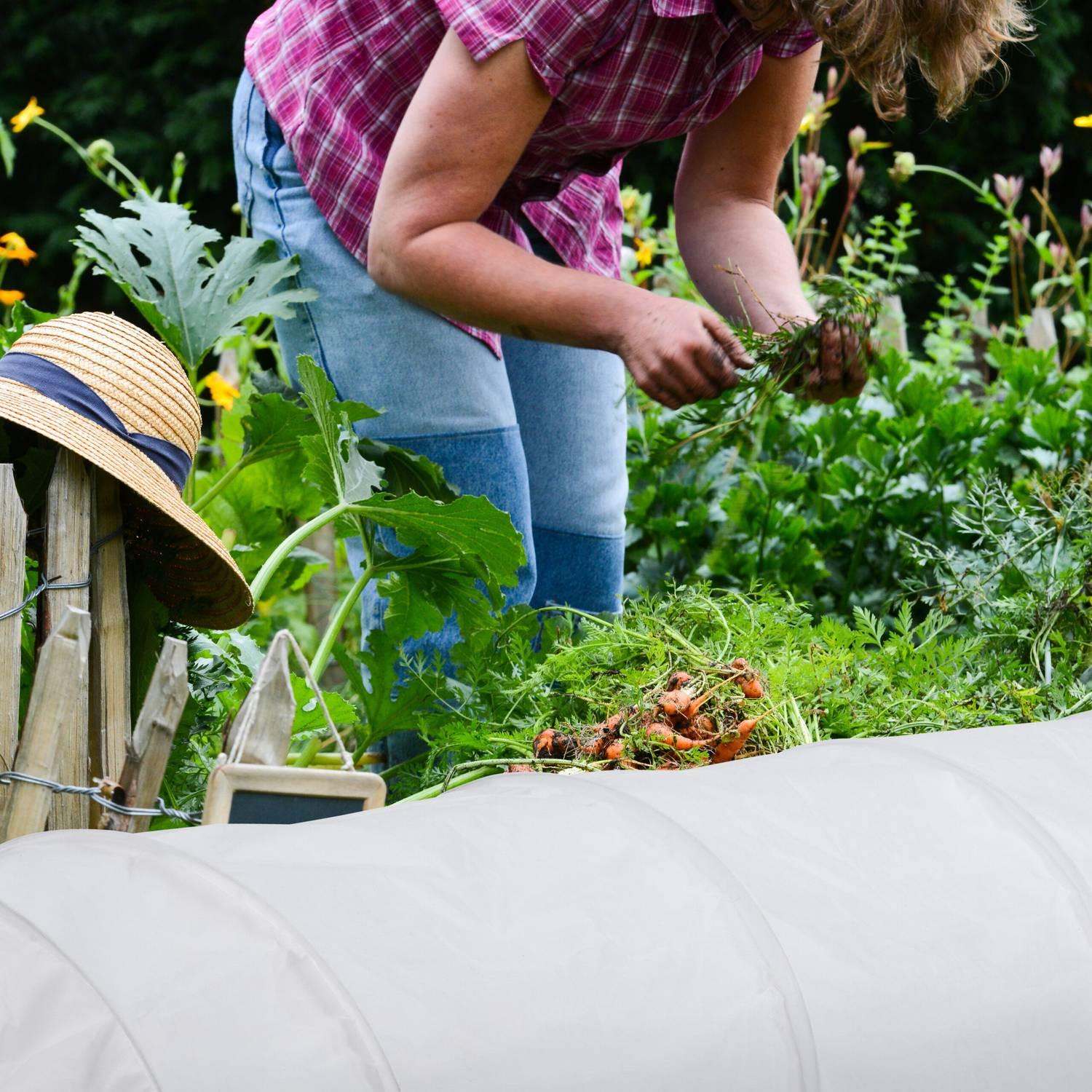 B2X Pflanztunnel aus Vlies 5 m 2er Set