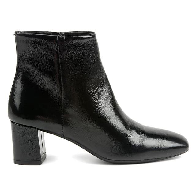 Ralph Harrison Fiord