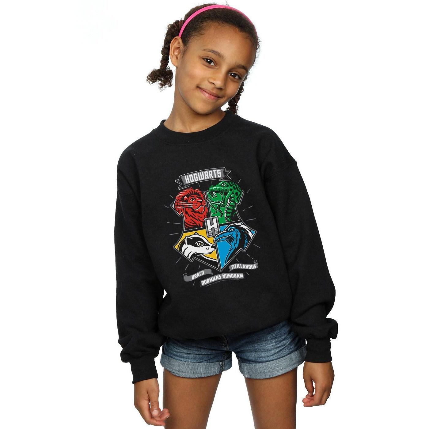 Harry Potter Hogwarts Sweatshirt