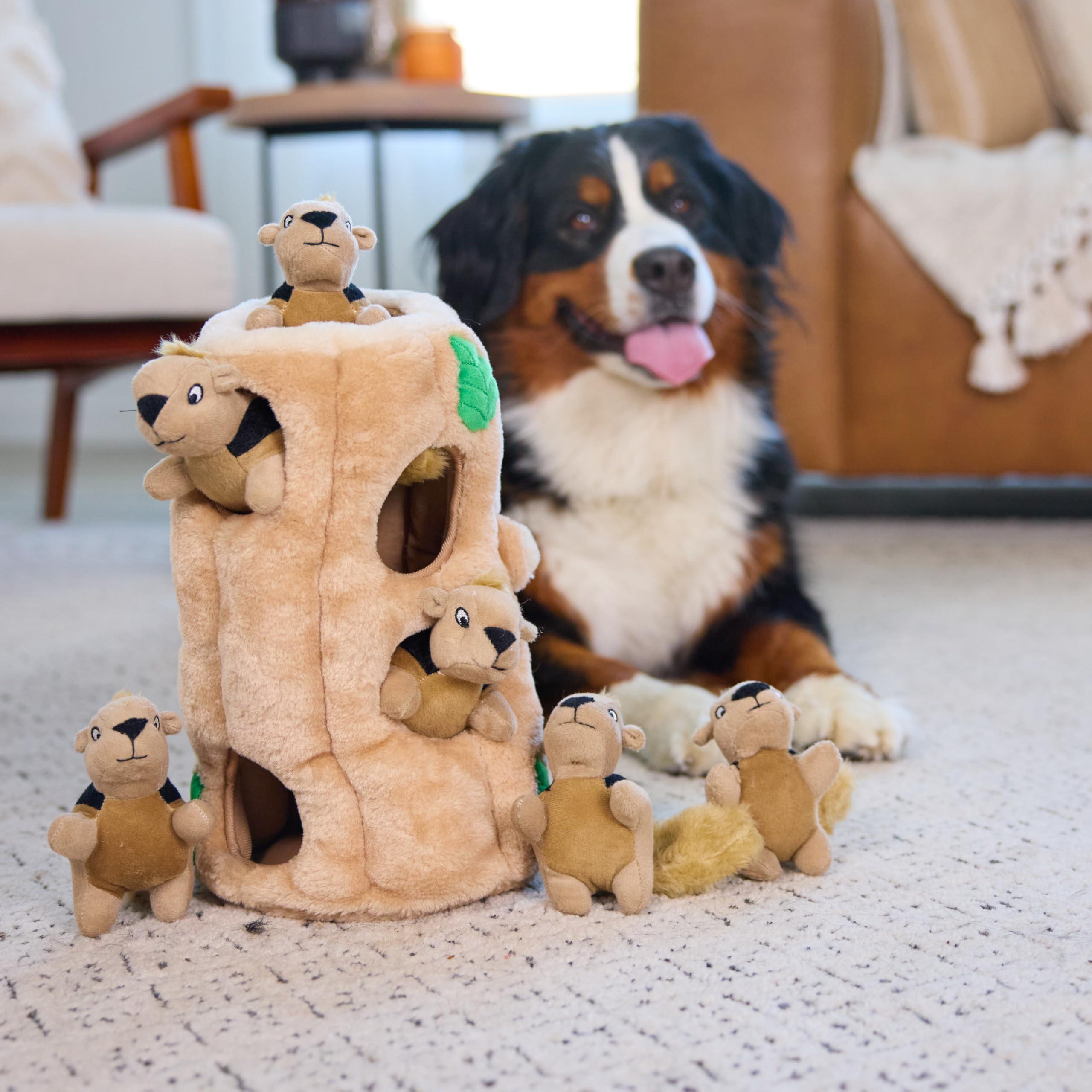 Activity-board Plüsch Hundespielzeug Hide