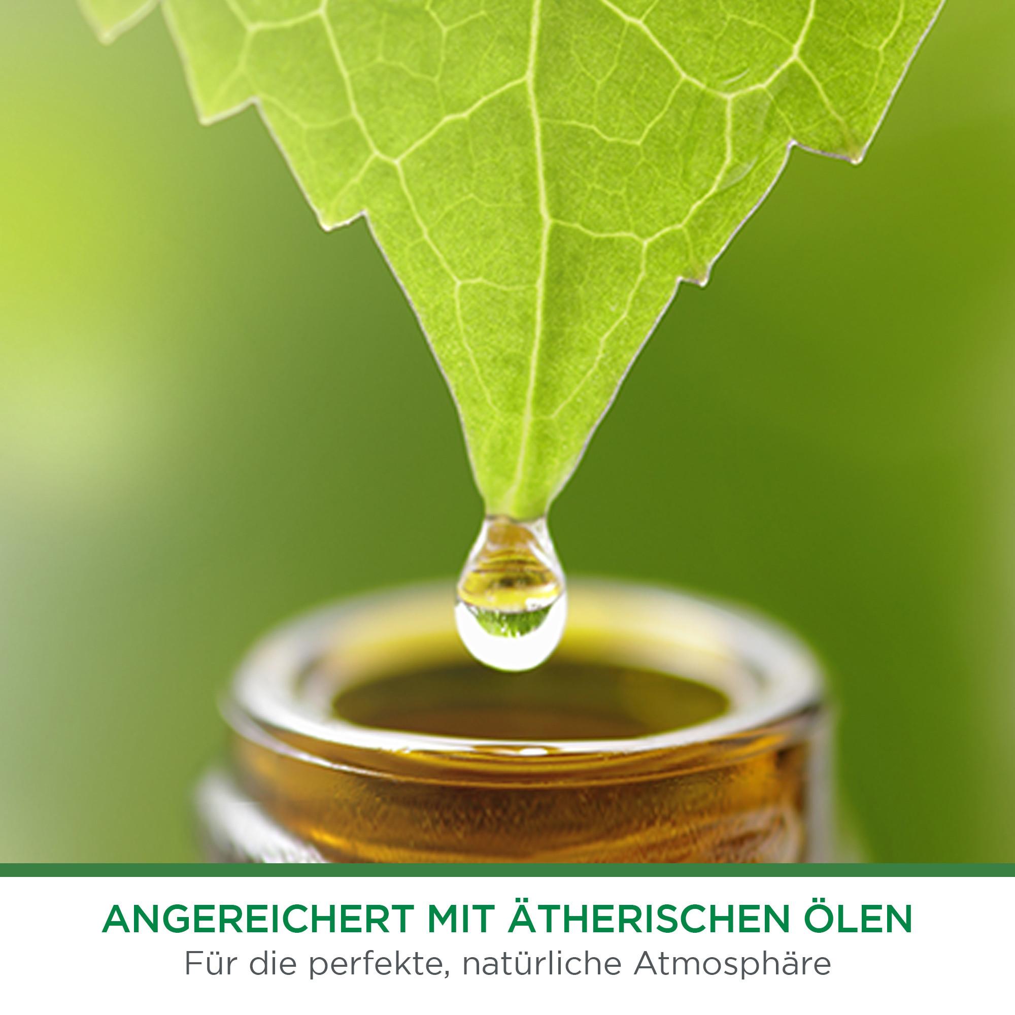 AIR WICK Nachfüllung freshmatic Raspberry Rose Splash