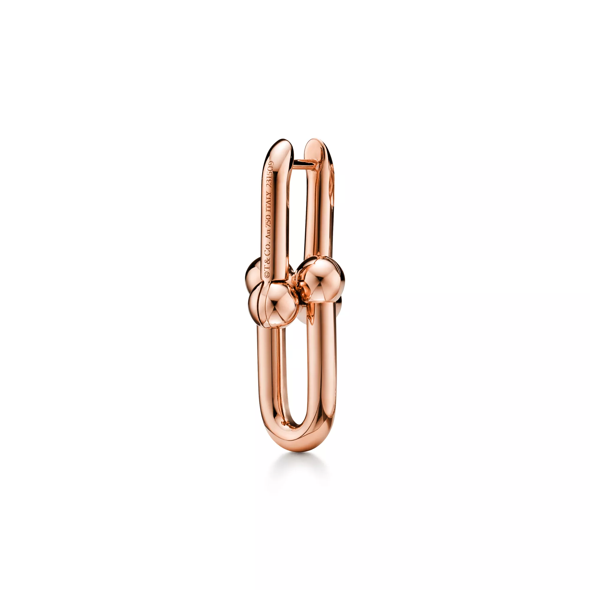 Tiffany HardWear Medium Link Earrings