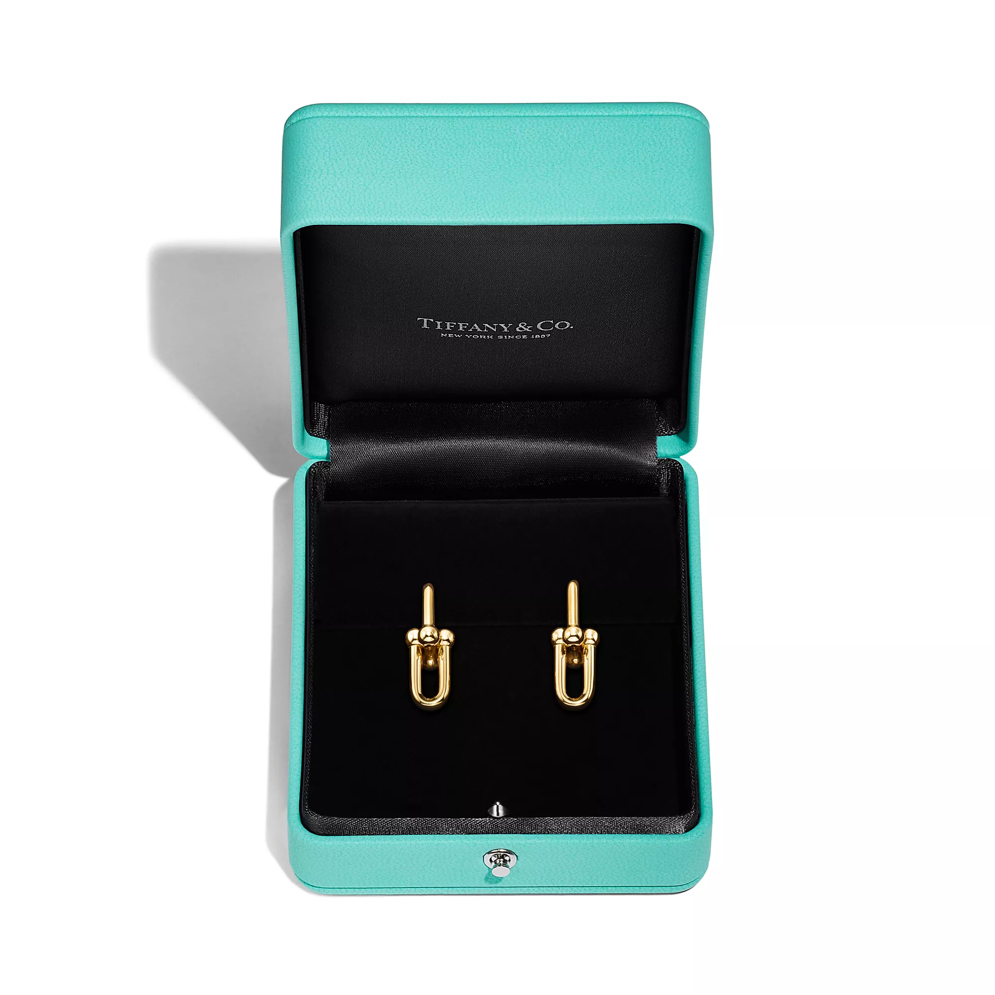 Tiffany HardWear Medium Link Earrings