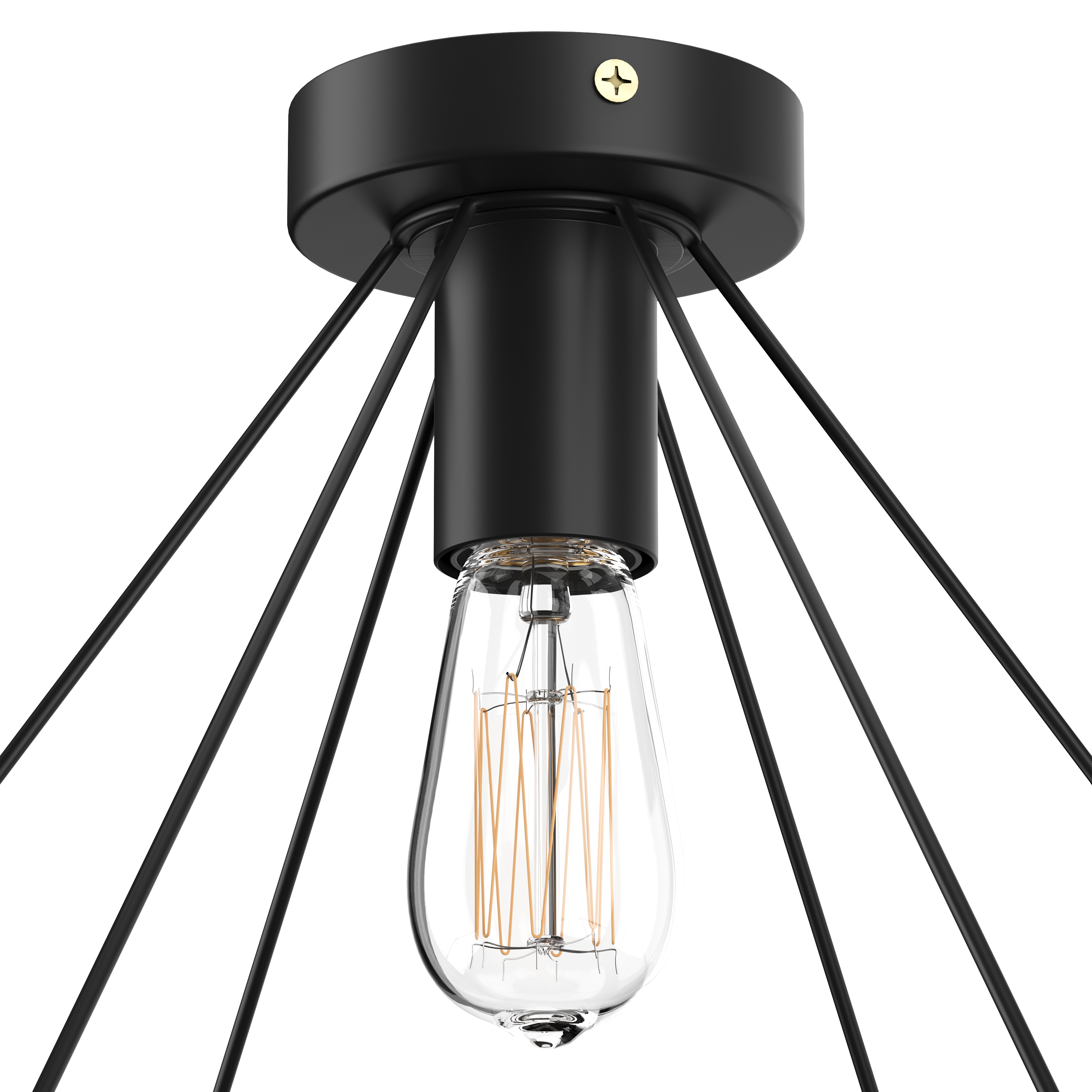 Deckenlampe PURE schwarz