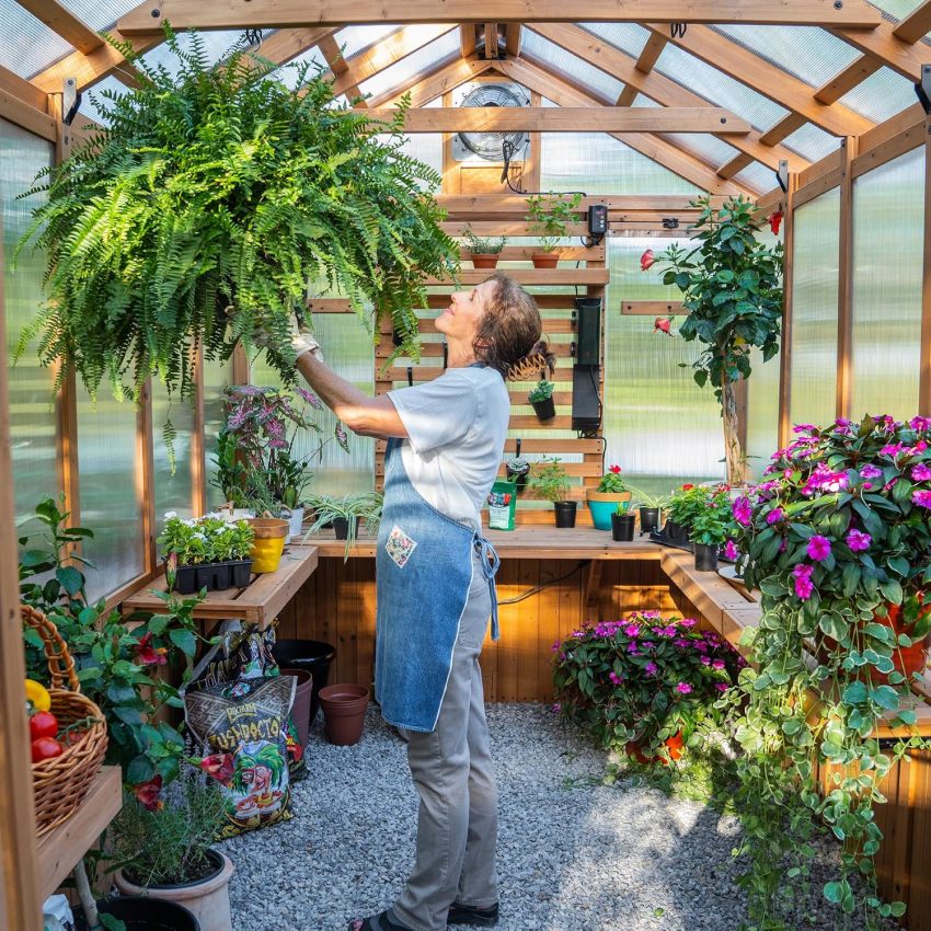 Backyard Discovery Bellerose Traditional Wood Greenhouse, All Cedar, Exterior and Interior Hose Hook-up, PowerPort, Foldable Shelves, Passive and Active Ventilation