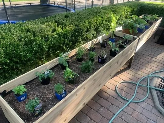 🔥8' X 2' x 4' Self-Watering Eco-Stained Elevated Planter Box+ Arch Trellis