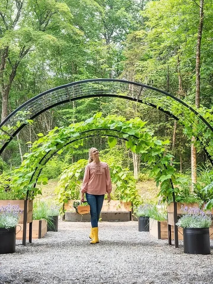 🔥8' X 2' x 4' Self-Watering Eco-Stained Elevated Planter Box+ Arch Trellis