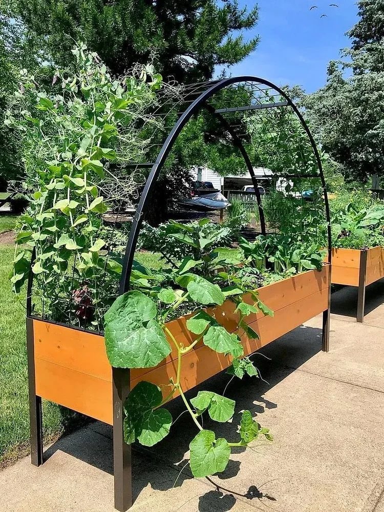 🔥8' X 2' x 4' Self-Watering Eco-Stained Elevated Planter Box+ Arch Trellis