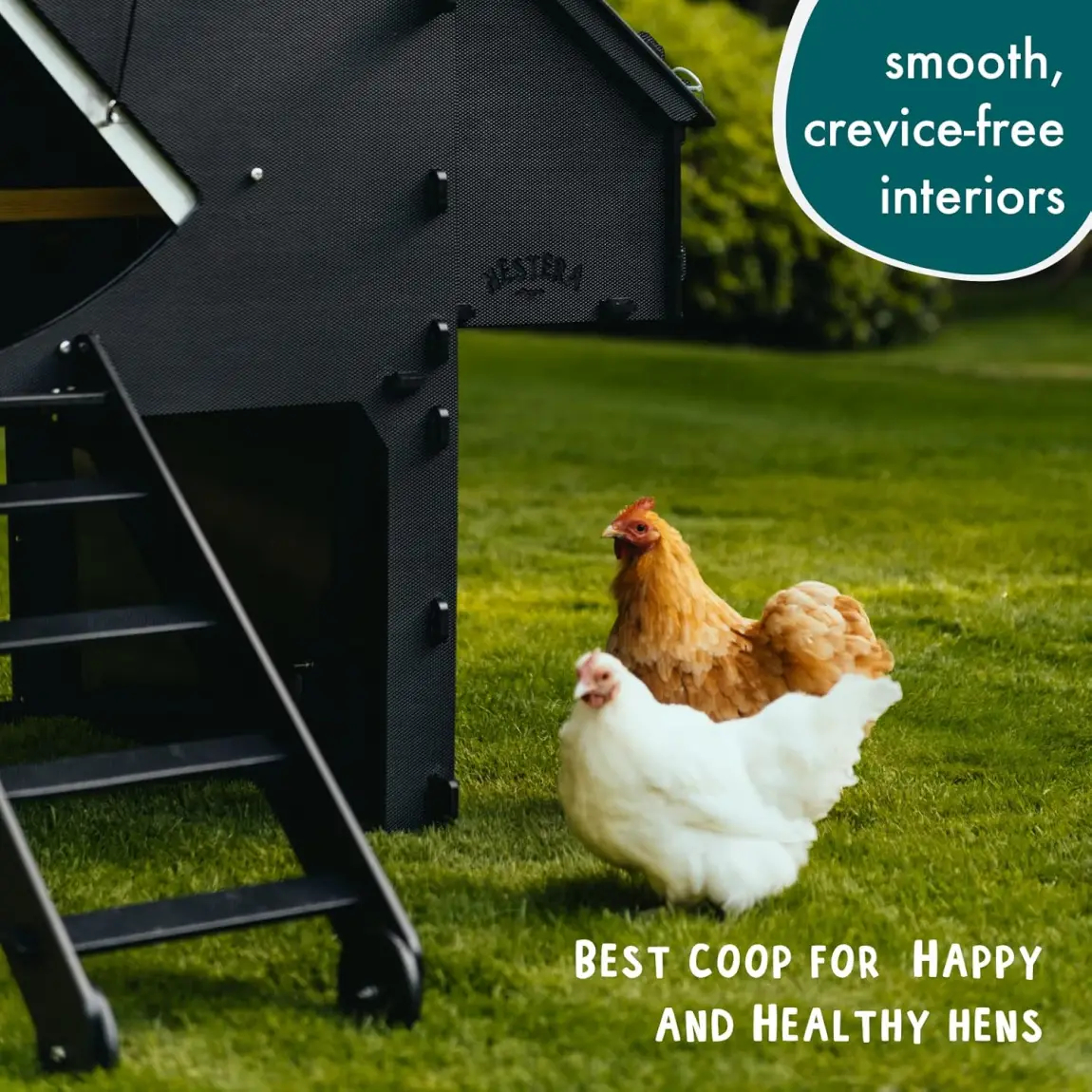 Kunststoff Hühnerstall mit 25 Jahre Garantie - Großer Boden Hühnerstall für 4. 6. 8 Hühner oder 15 Zwerghühner