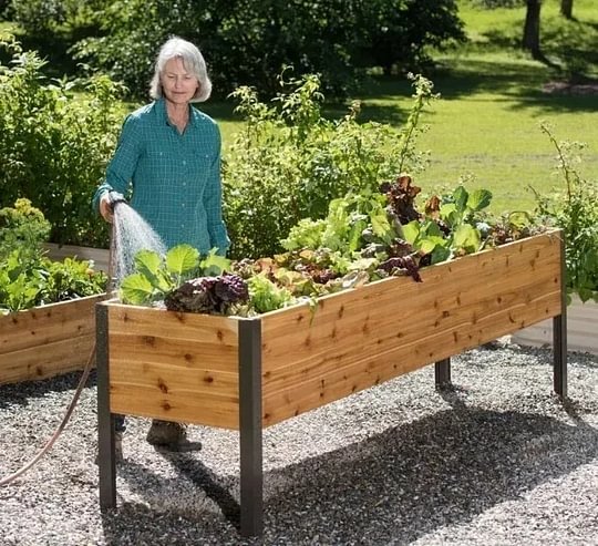 🔥8' X 2' x 4' Self-Watering Eco-Stained Elevated Planter Box+ Arch Trellis