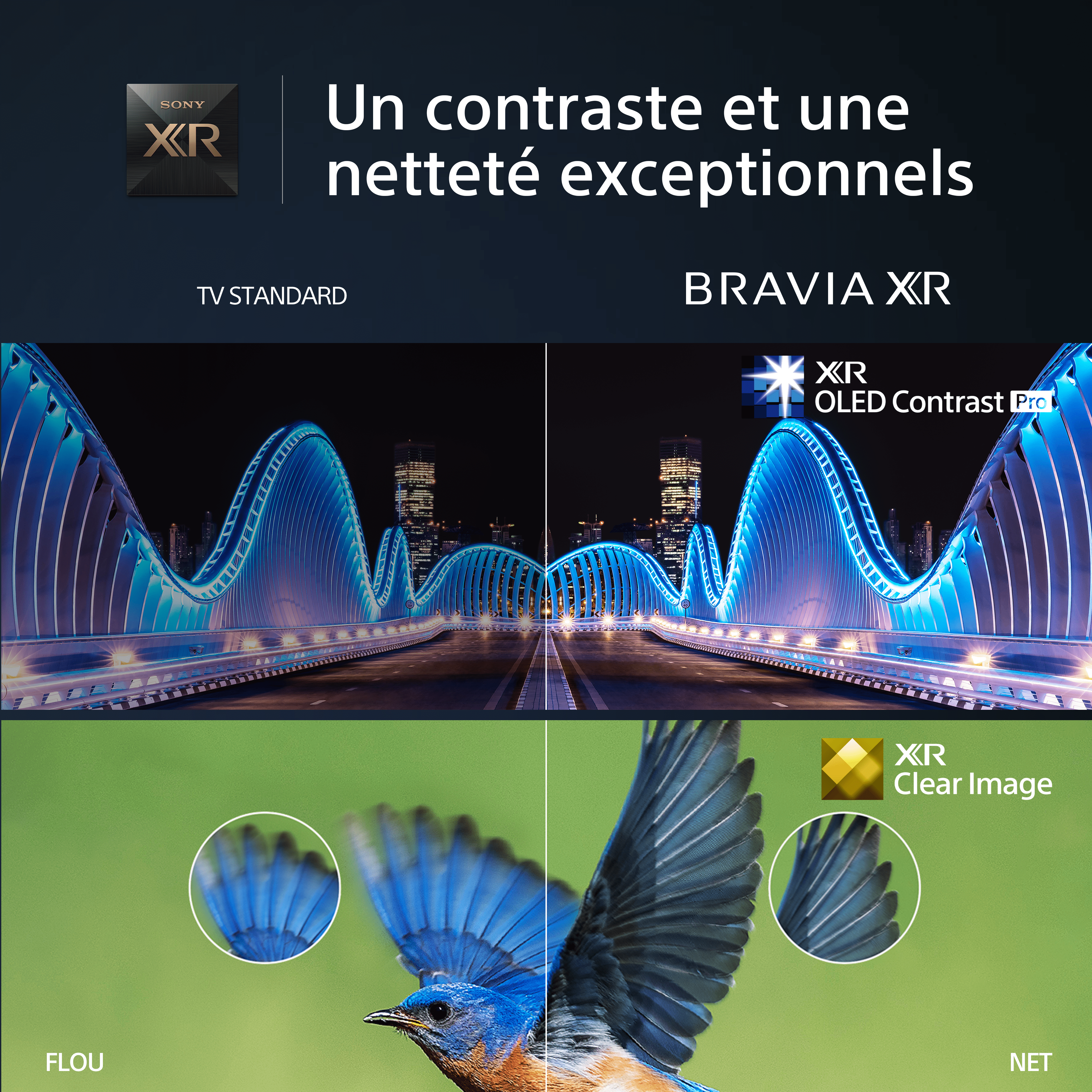 SONY TV | A80L | BRAVIA XR | OLED | 4K UHD | High Contrast HDR | Smart TV (Google TV)