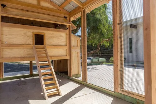 coop and enclosure cover about 12' x 5', offering the ideal habitat for up to 10 hens.