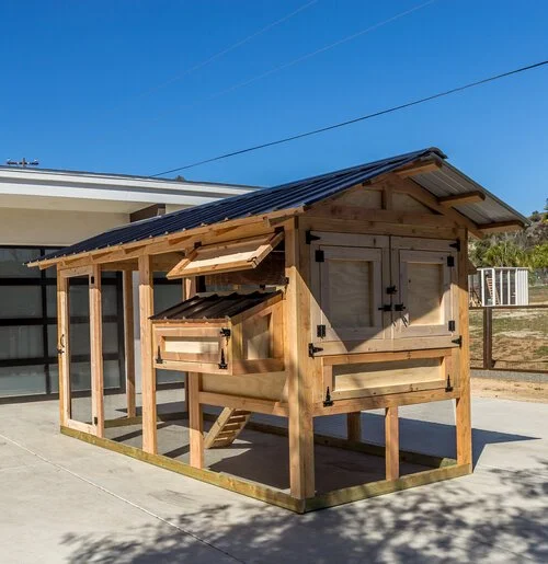 coop and enclosure cover about 12' x 5', offering the ideal habitat for up to 10 hens.