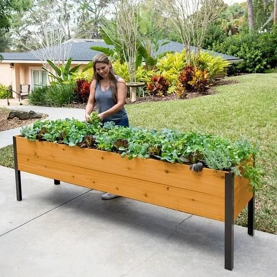 🔥8' X 2' x 4' Self-Watering Eco-Stained Elevated Planter Box+ Arch Trellis