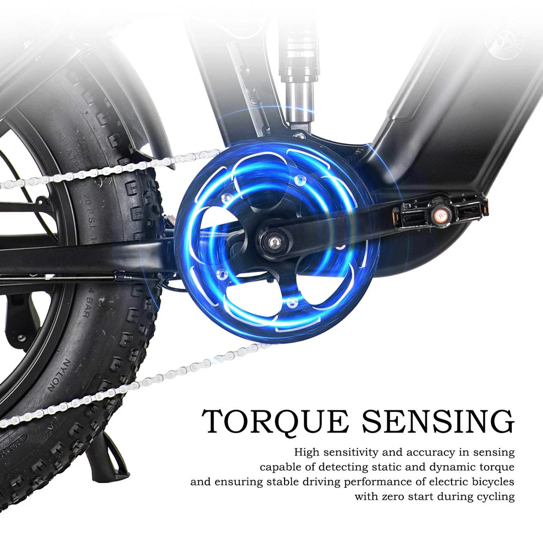 CMACEWHEEL V20 750W 20 Fat Bike 960Wh Full Suspension E-bike with Torque Sensor 48V 20Ah Battery