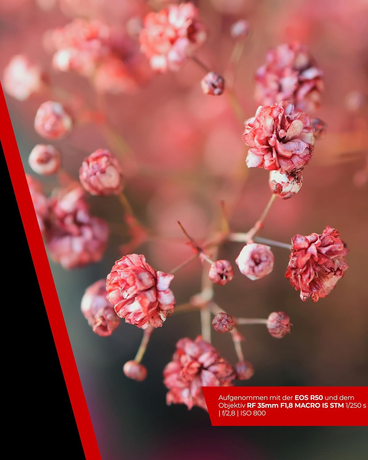 Canon EOS R50 System Camera + RF-S 18-45mm is STM Lens - Mirrorless Digital Camera with Autofocus