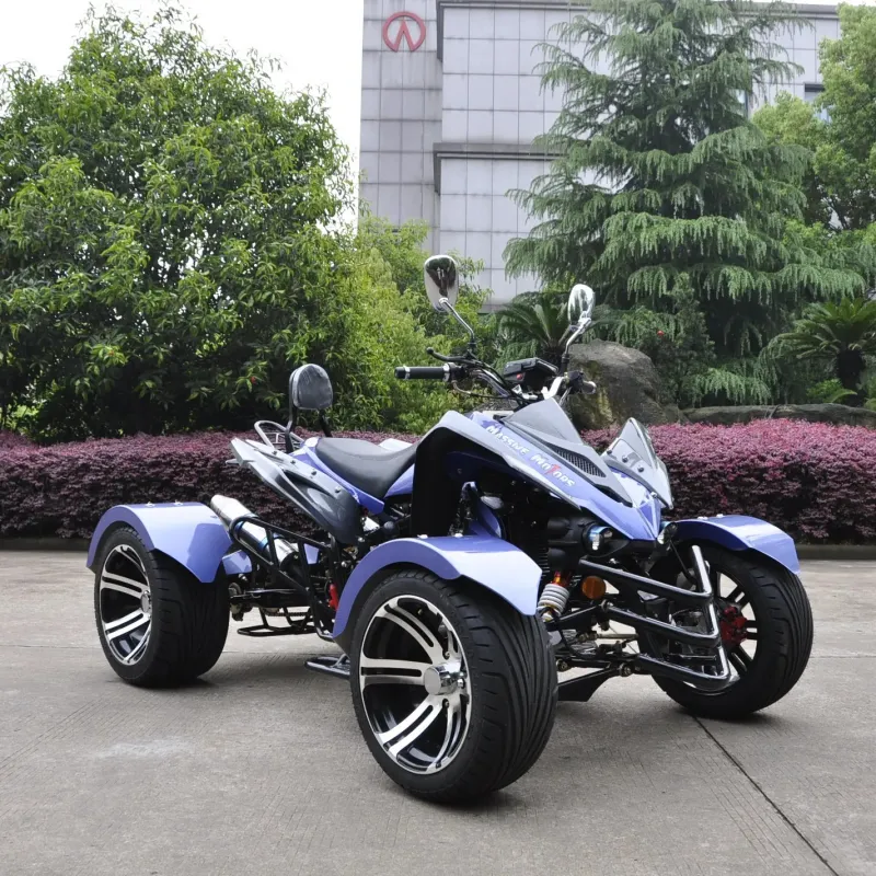 300CC ATV, Quad Bike