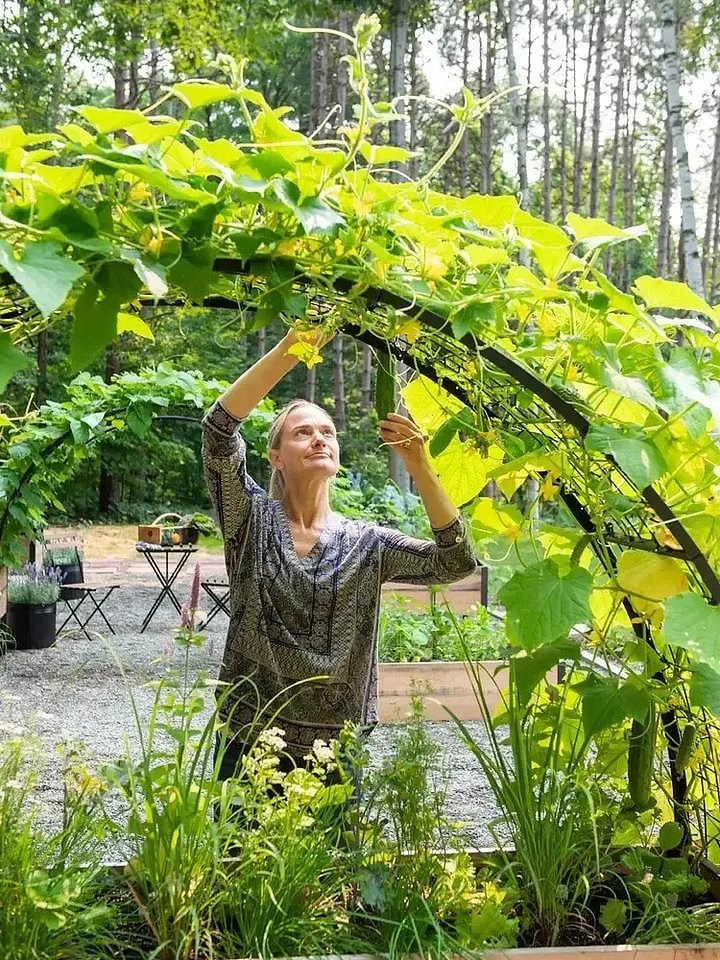 🔥8' X 2' x 4' Self-Watering Eco-Stained Elevated Planter Box+ Arch Trellis