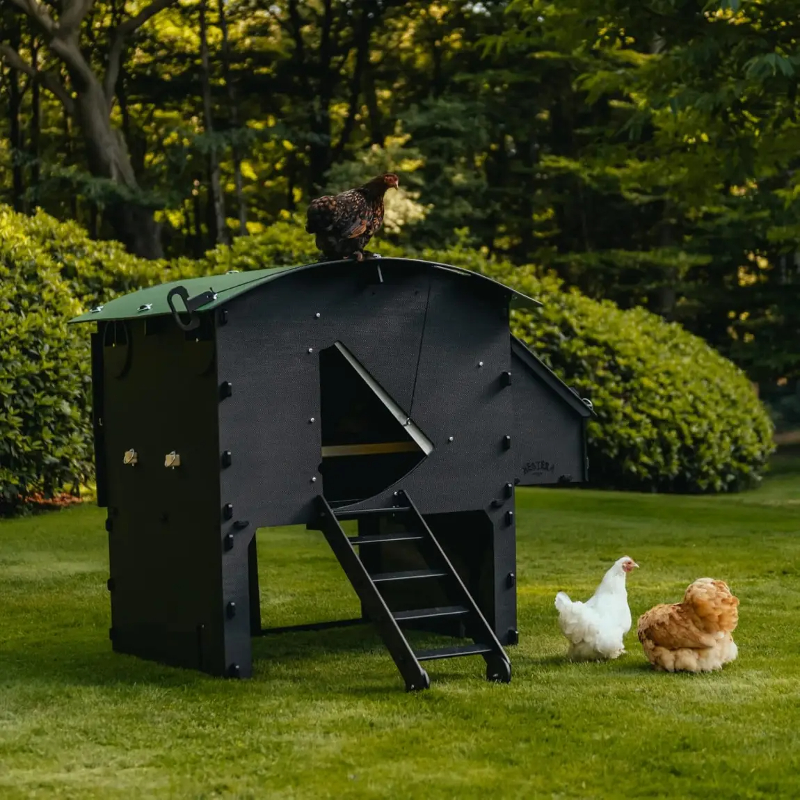 Kunststoff Hühnerstall mit 25 Jahre Garantie - Großer Boden Hühnerstall für 4. 6. 8 Hühner oder 15 Zwerghühner