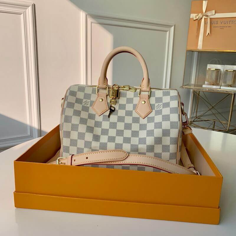 Louis Vuitton Speedy Bandoulière 25 N40608