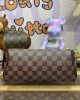 Louis Vuitton Eva Clutch N55213