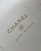 Chanel Chain Cosmetic Bag