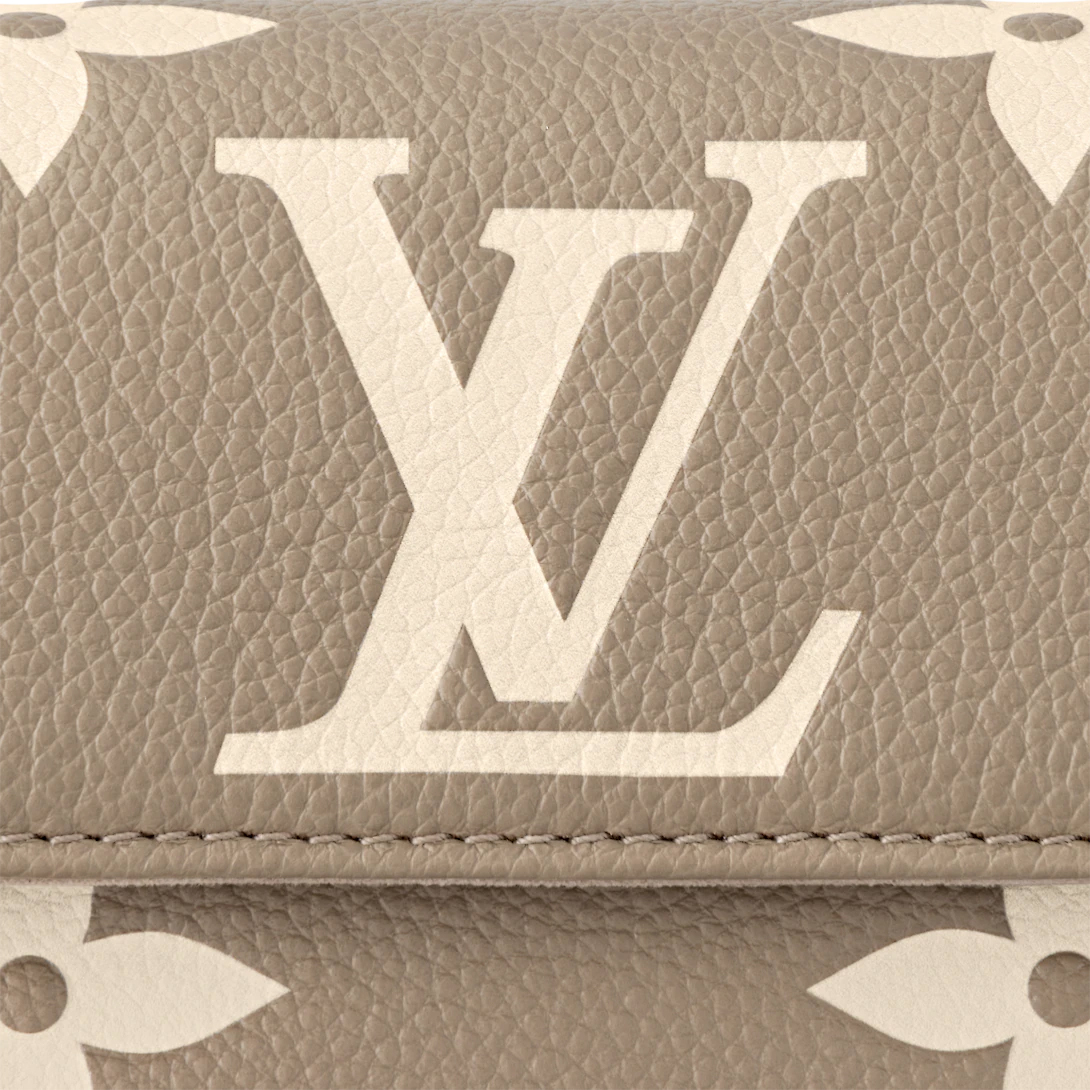 Wallet On Chain Ivy
