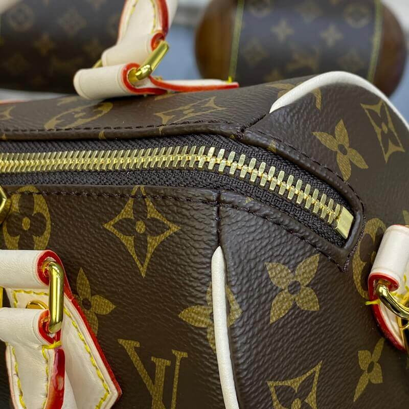 Louis Vuitton Speedy Bandoulière 20 M46234