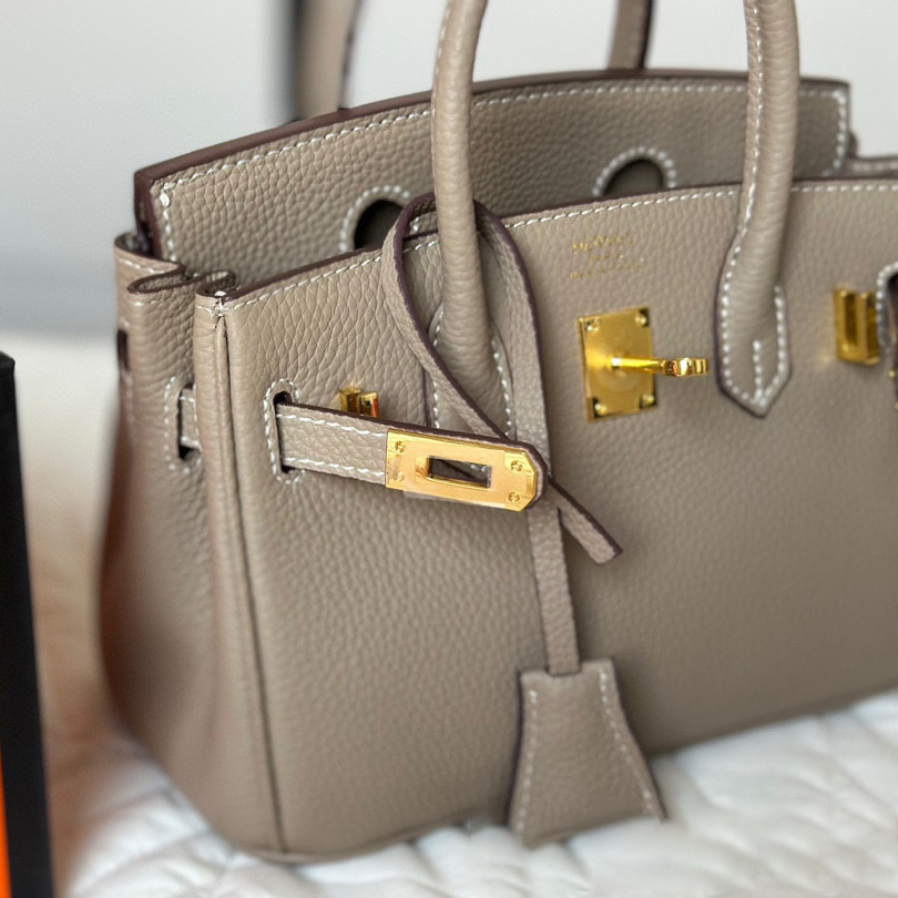 Birkin 25 Gold Hardware Bag