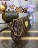 Louis Vuitton Eva Clutch N55213