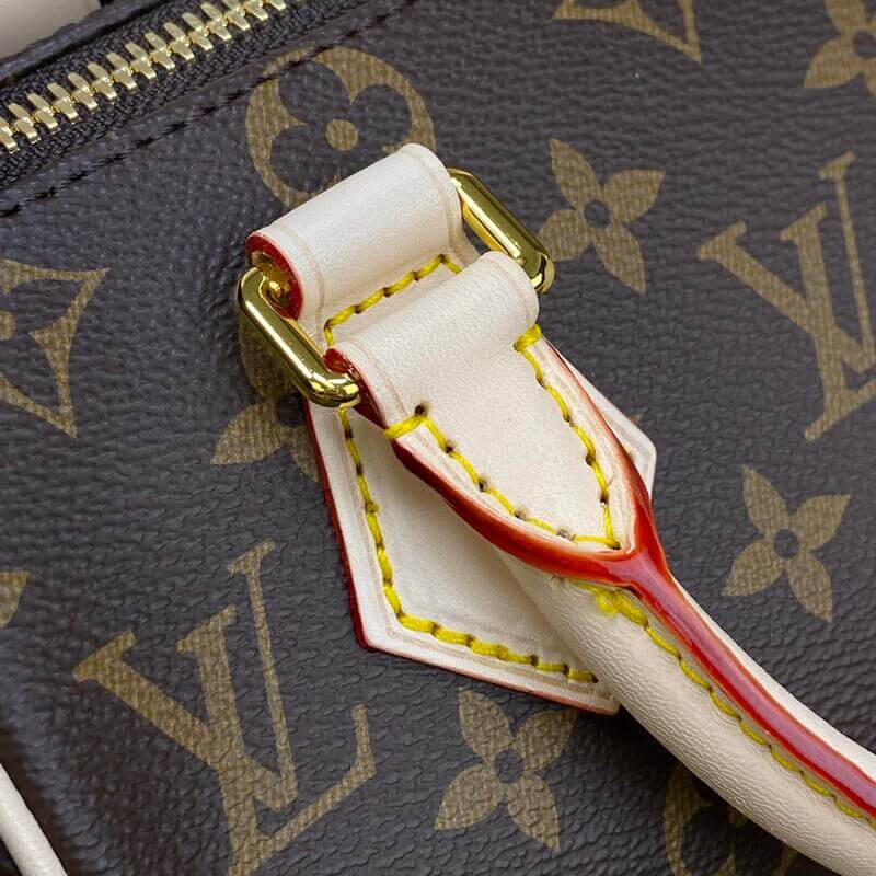 Louis Vuitton Speedy Bandoulière 20 M46234