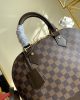 Louis Vuitton Alma N53151 PM