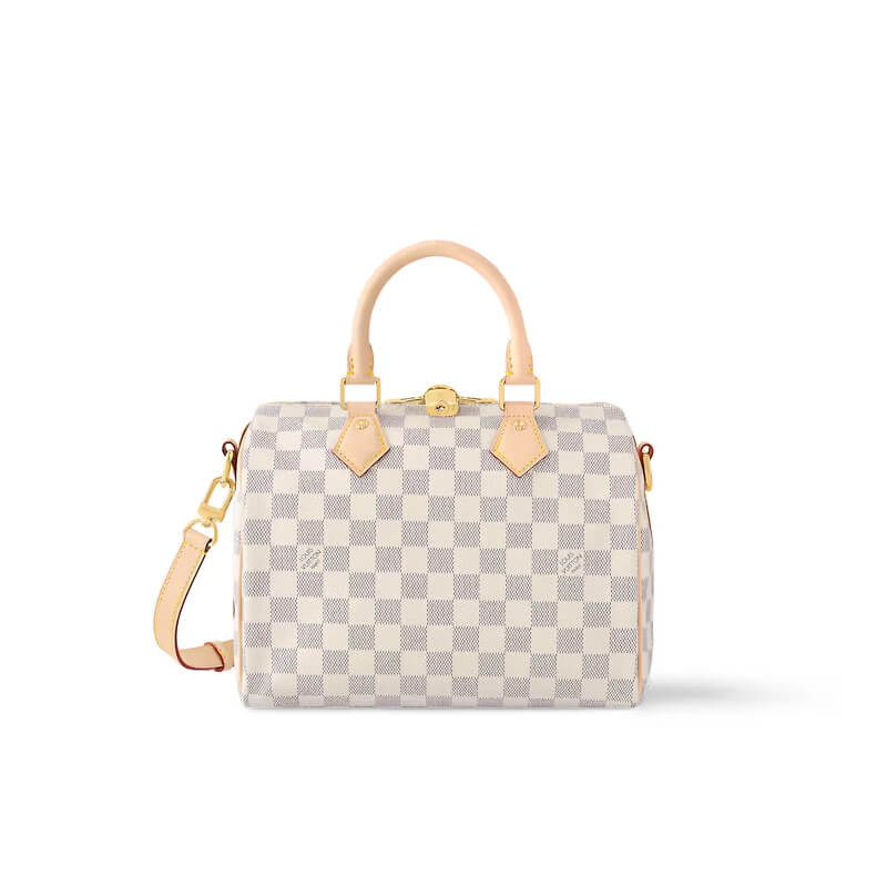 Louis Vuitton Speedy Bandoulière 25 N40608