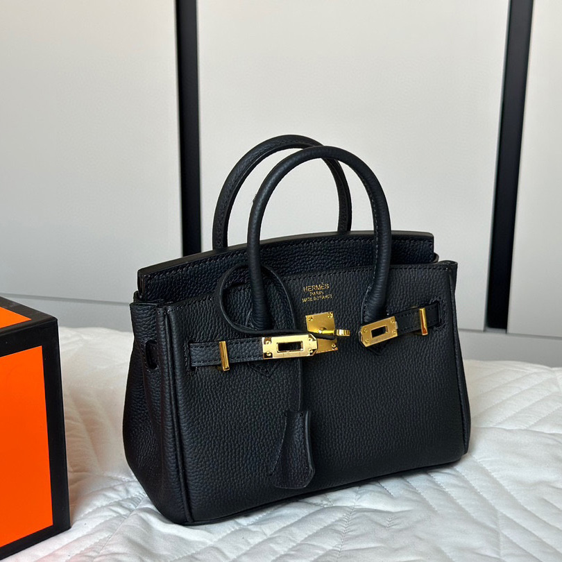 Birkin 25 Gold Hardware Bag