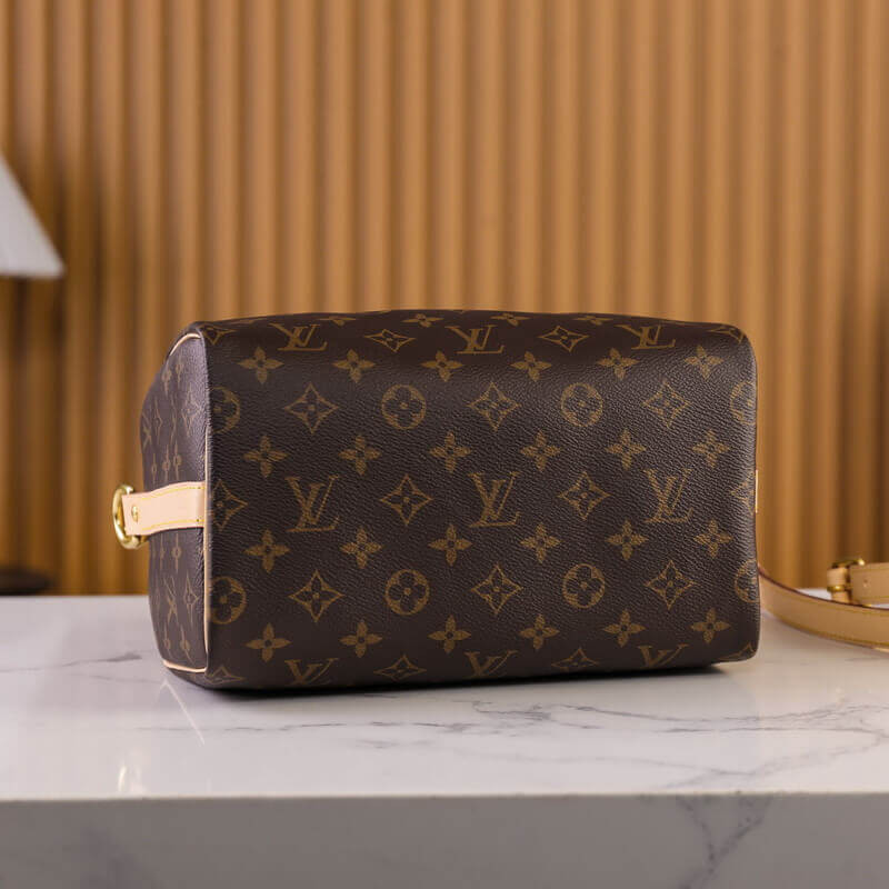 Louis Vuitton Speedy Bandoulière 25 M46977