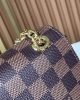 Louis Vuitton Vavin PM N40108