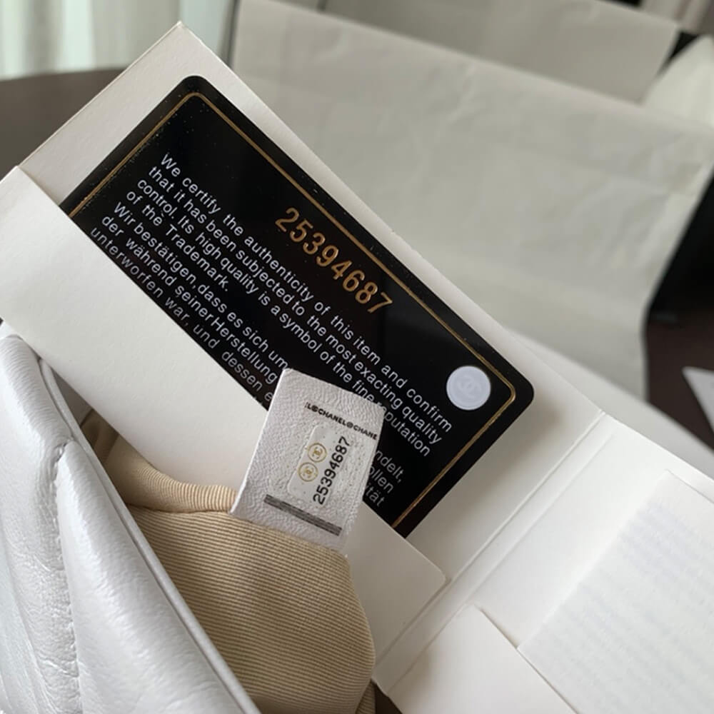 Chanel 19 Large Handbag AS1161