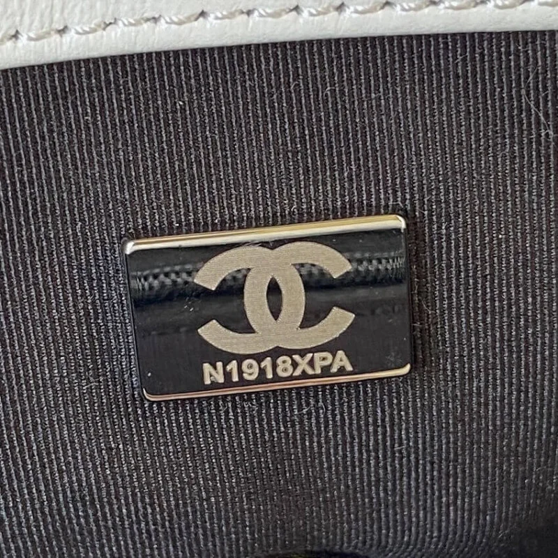 Chanel 19 Flap Bag As1160 B02511