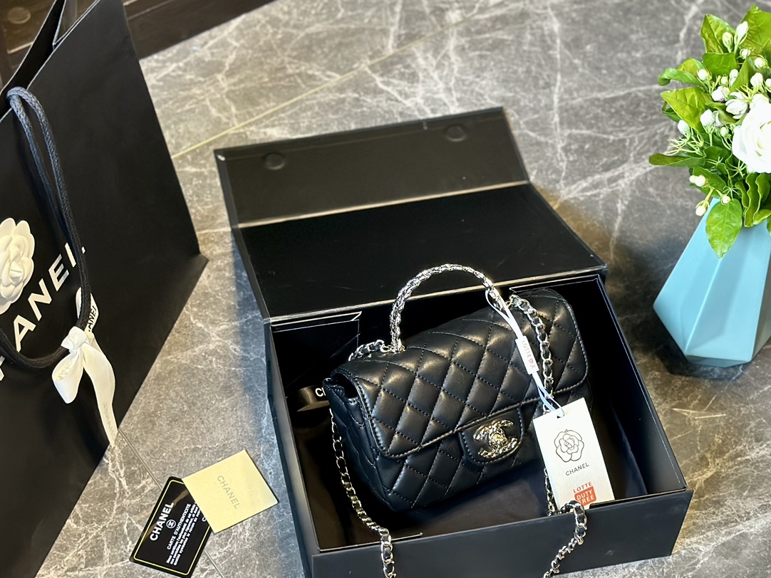 Mini Flap Bag with Top Handle