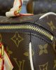 Louis Vuitton Speedy Bandoulière 20 M46234