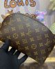 Louis Vuitton Cosmetic Pouch MM M46579
