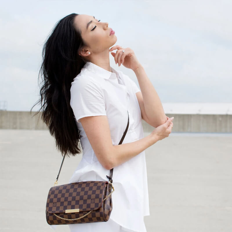 Louis Vuitton Favorite PM N41276