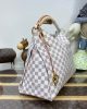 Louis Vuitton Artsy MM N40253